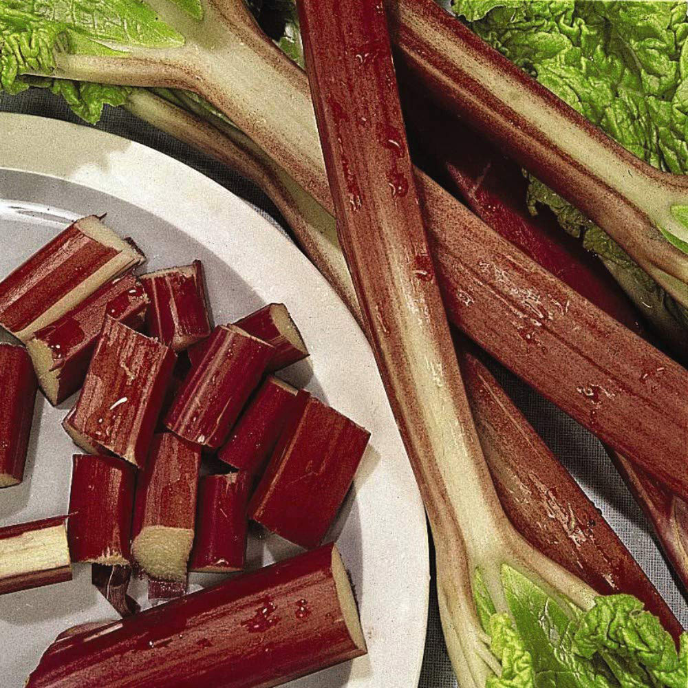 Thompson & Morgan Rhubarb Glaskins Perpetual Seeds Image 2