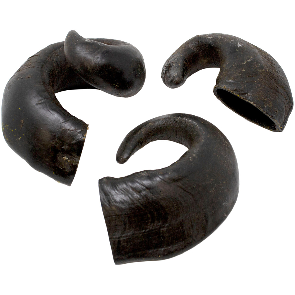 Air Dried Buffalo Horn Dog Treat Image 2