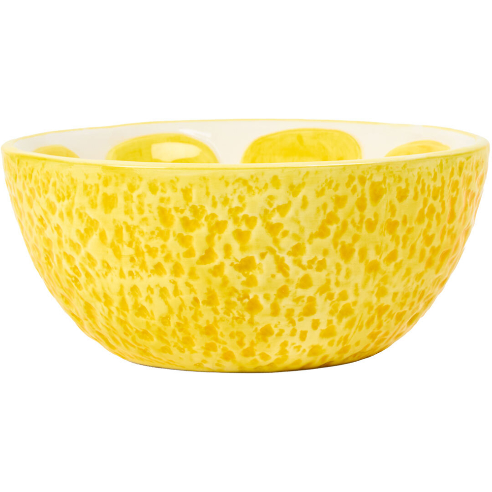 Fruit Pet Bowl Image 6