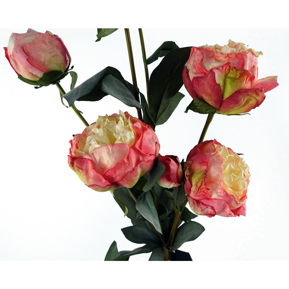 Leaf Pink Peony Single Stem Artificial Flower 55cm 6 Pack Image 4