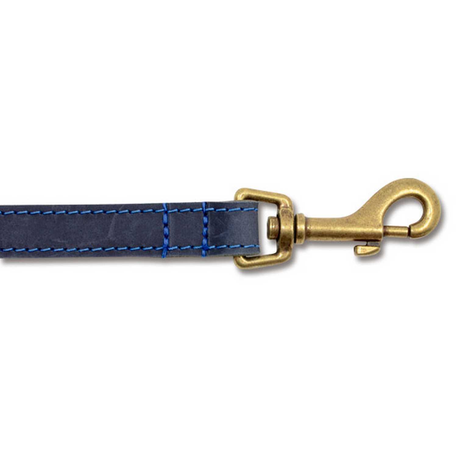 Timberwolf Dog Lead - Blue Image