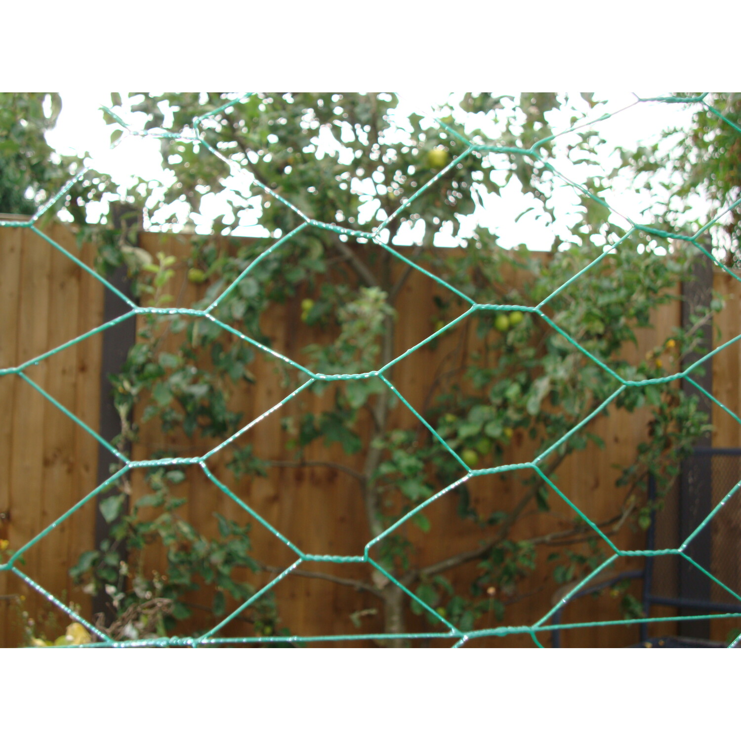 Apollo Gardening PVC Coated Galvanised Wire Netting 25cm x 10m Image 2