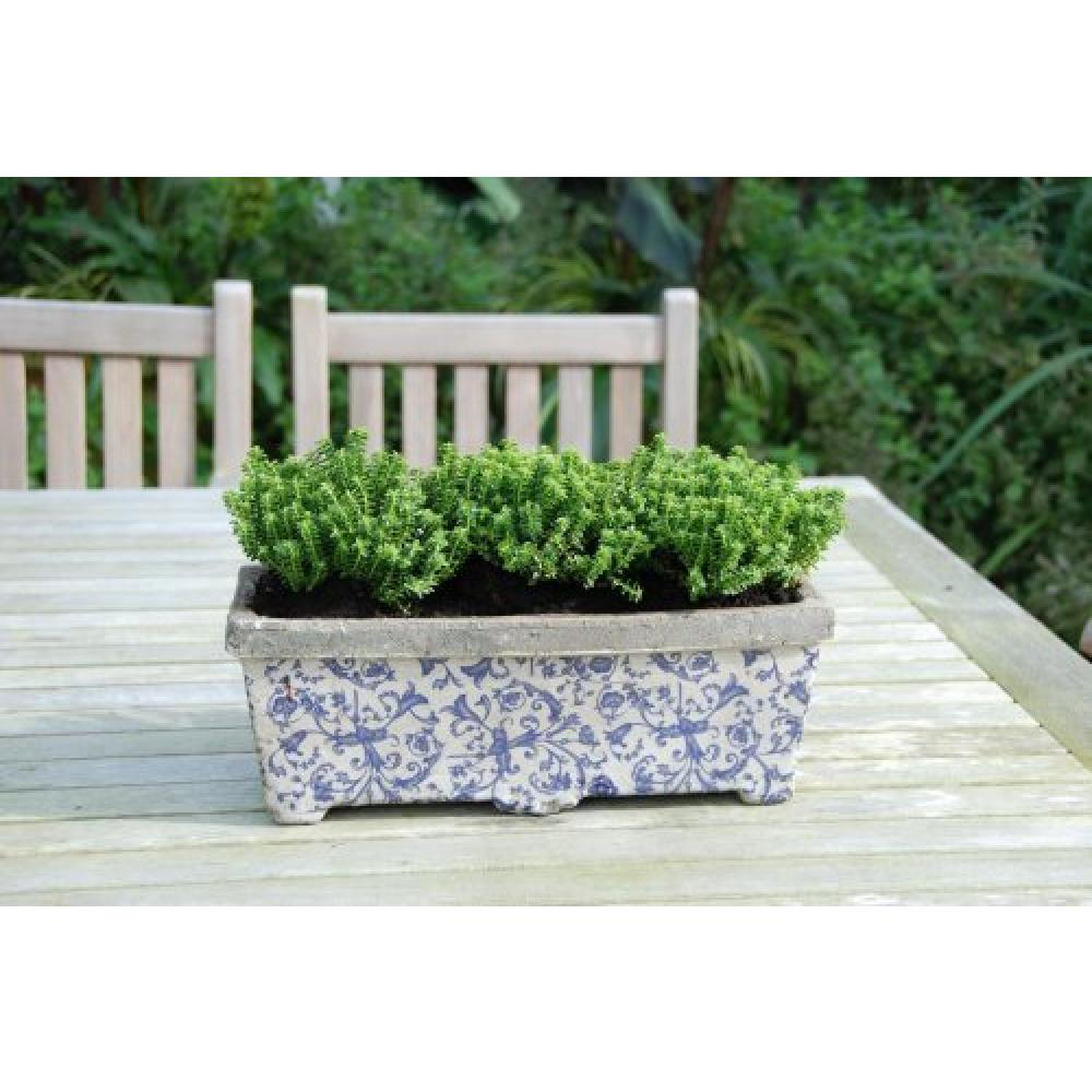 Fallen Fruits Rectangular Ceramic Planter Box 39.6 x 15.3cm Image 2