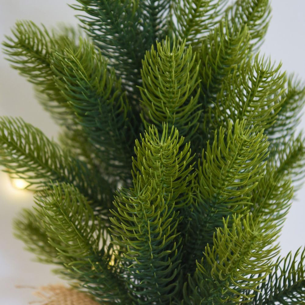 Thompson and Morgan Gift Nigata Table Top Xmas Tree 2 Pack Image 3