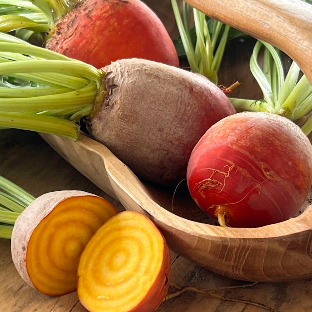 Thompson & Morgan Beetroot Golden Eye Seeds Image 1