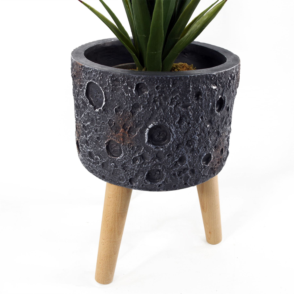 Leaf Moon Black Planter with Stand Image 6