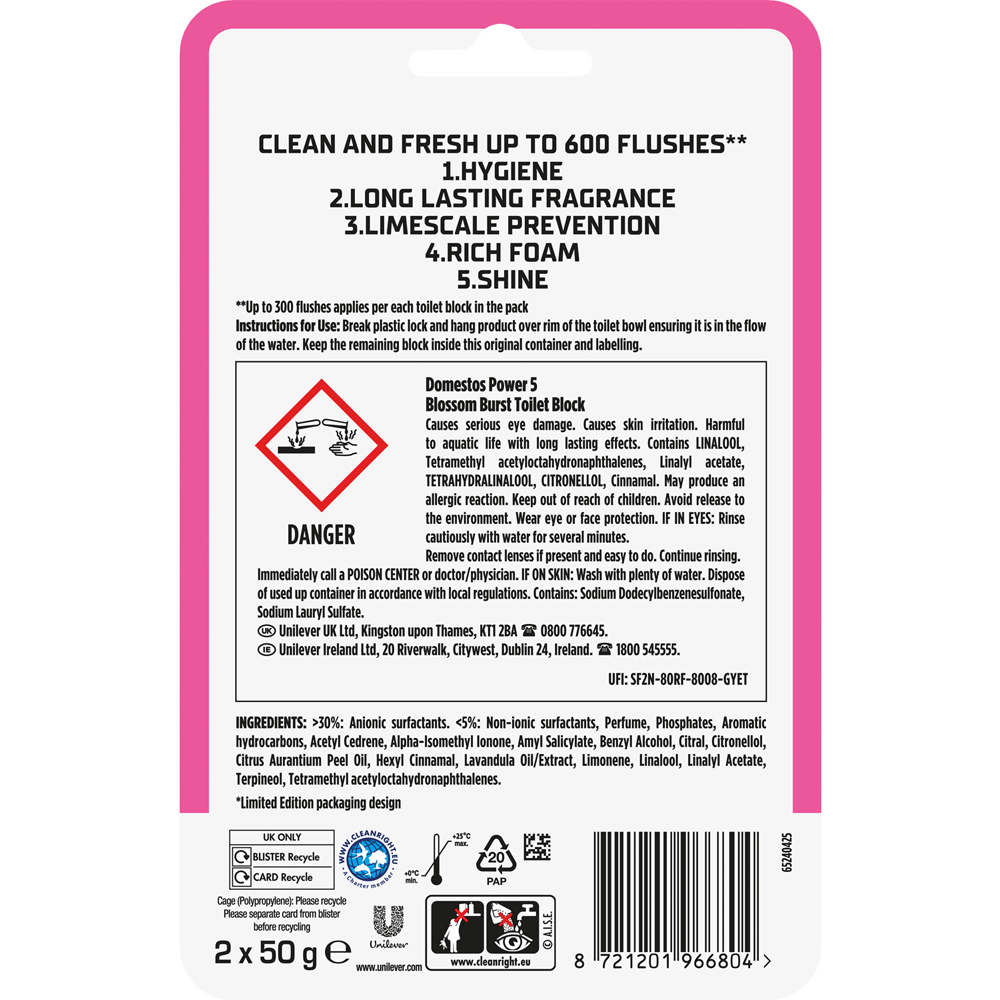 Domestos Power 5 Rim Block Duo Image 2