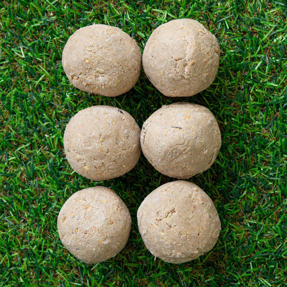 Samuel Alexander Bird Wildlife Nutritional Suet Fat Balls 6 Pack Image 5