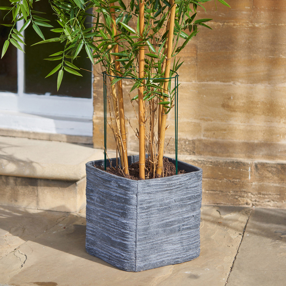 wilko Plant Support 6 Pack Wilko