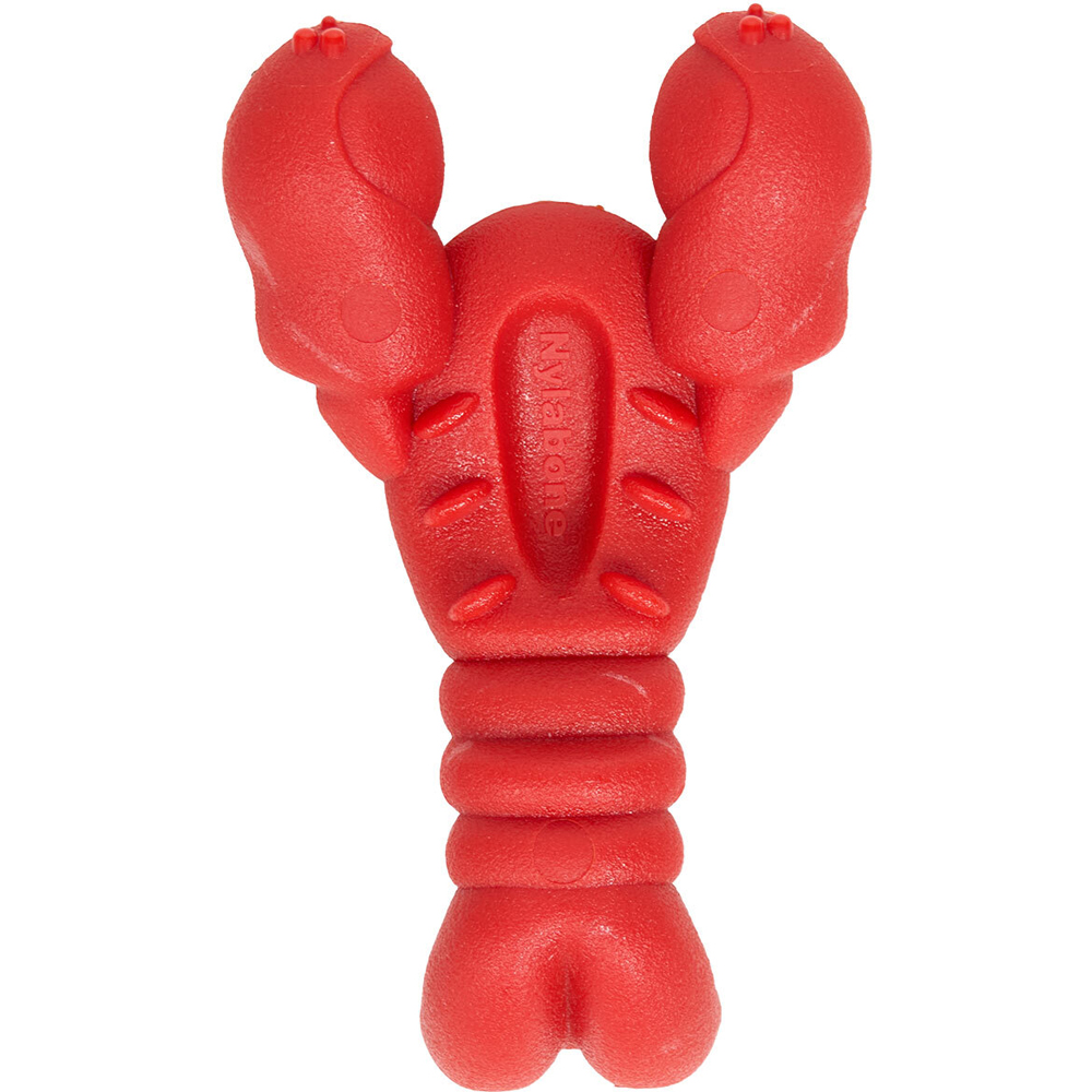 Nylabone Lobster Filet Mignon Dog Chew Toy Orange Image 5