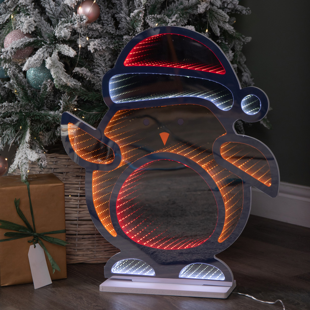 Samuel Alexander Multicolour Infinity LED Light Up Christmas Robin Christmas Decoration Image 3