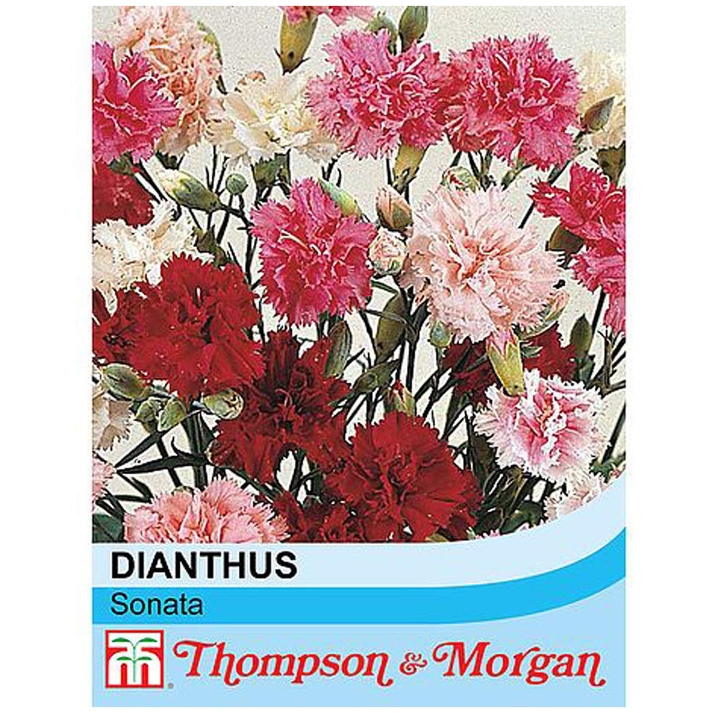 Thompson and Morgan Dianthus Plumarius Sonata Seeds Image 2