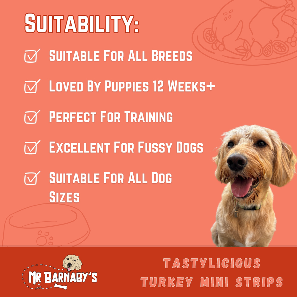 Mr Barnaby's Tastylicious Turkey Mini Strips Grain-Free Hypoallergenic Dog Treats 100g 2 Pack Image 5