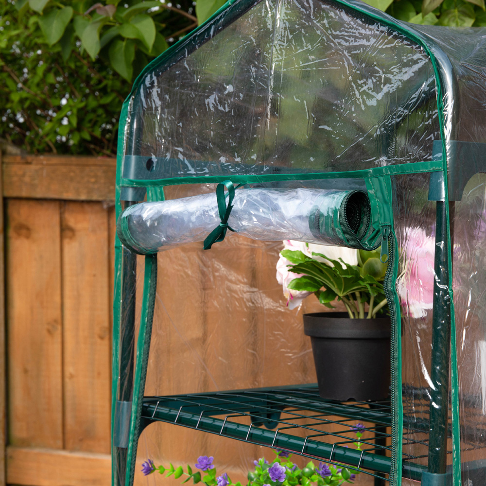 Samuel Alexander 4 Tier 3.2 x 1.6ft Greenhouse with Removable Cover Image 9