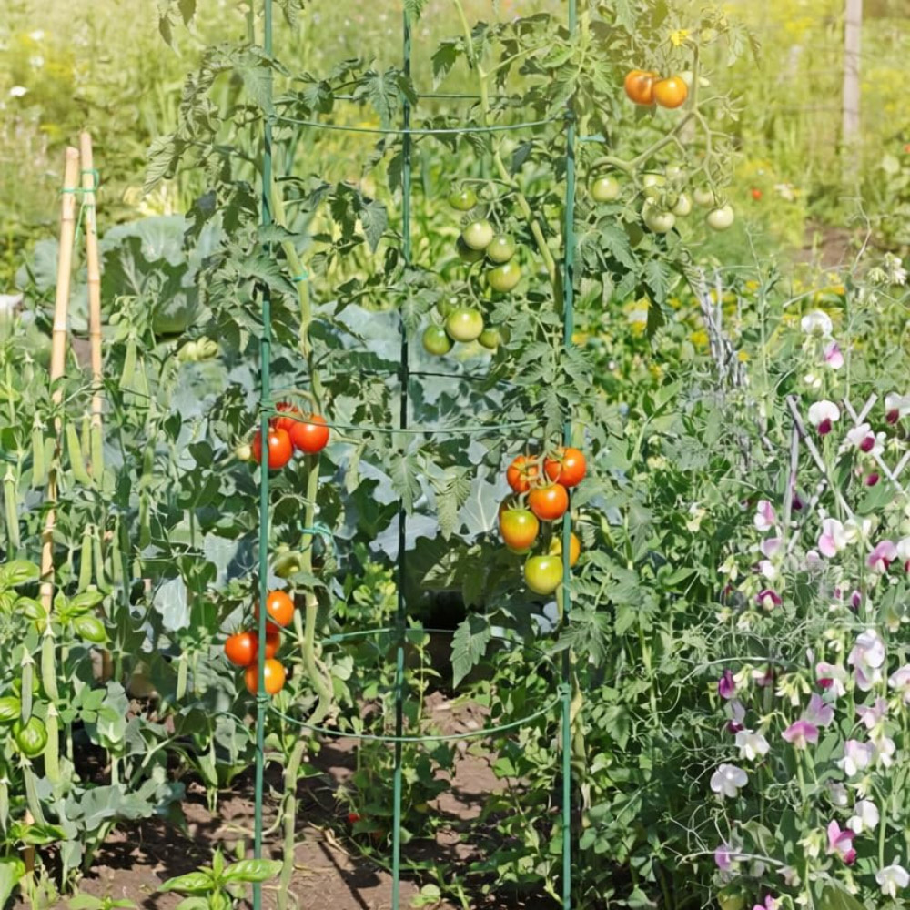 Garden Gear Circular Tomato Support Frame Image 3