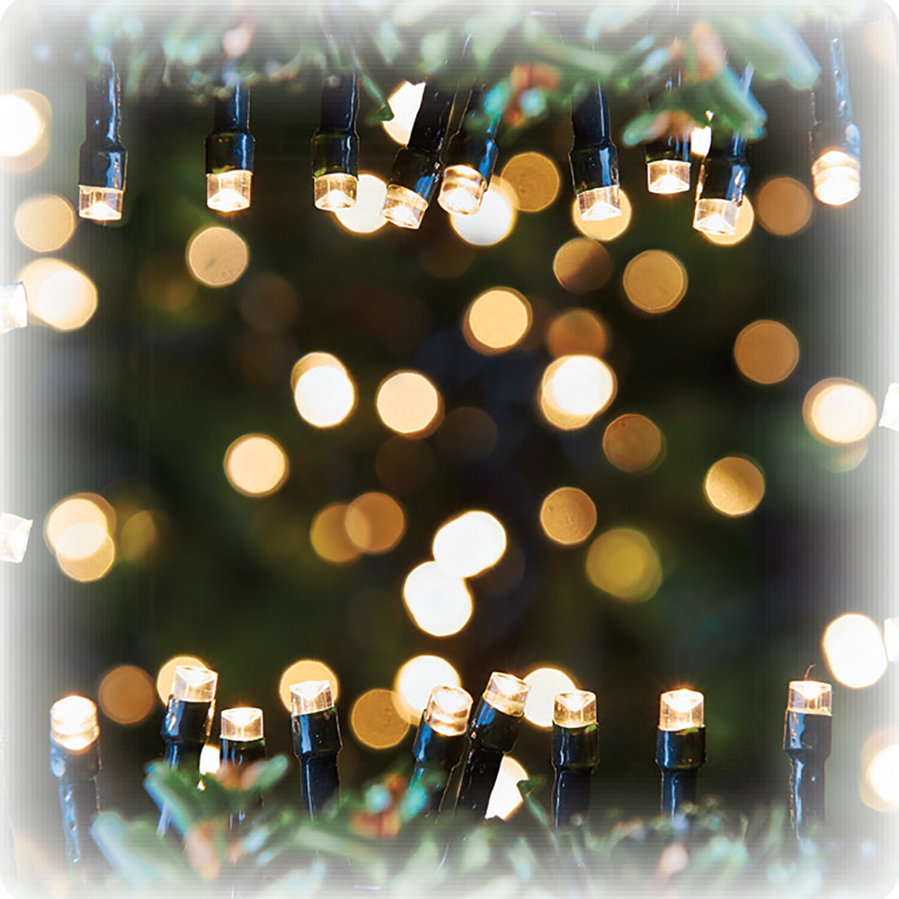 noel 48 Warm White LED Battery Operated Outdoor Lights Image 4
