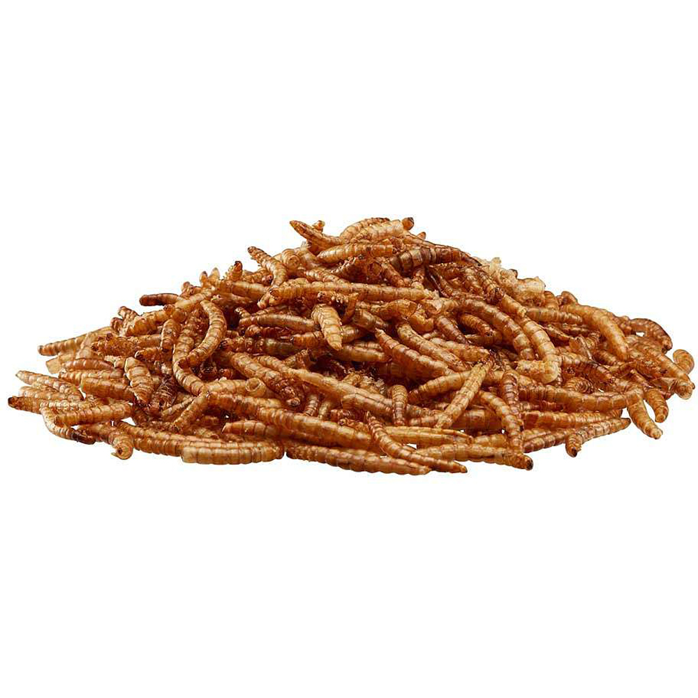 Happy Beaks Meal Worms Bird Food Bag 200g Image 3