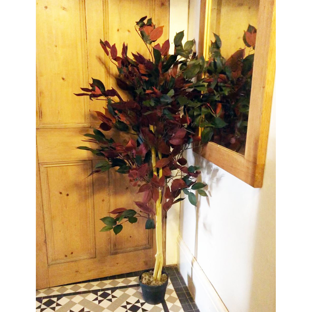 Botanik Capensia Ficus Artificial Tree in Pot 4ft Image 2