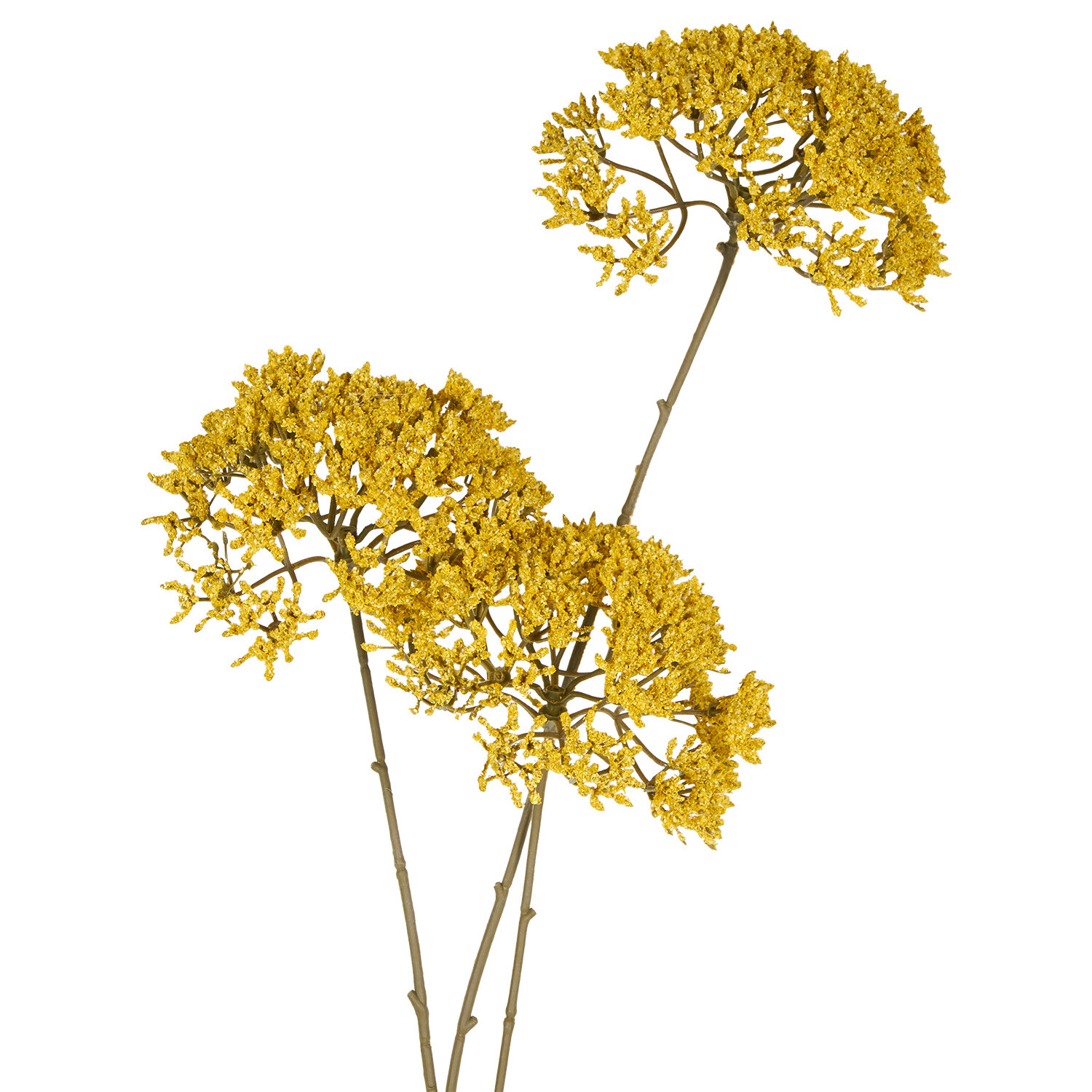 Queen Annes Lace Stem Yellow or Orange Image 6