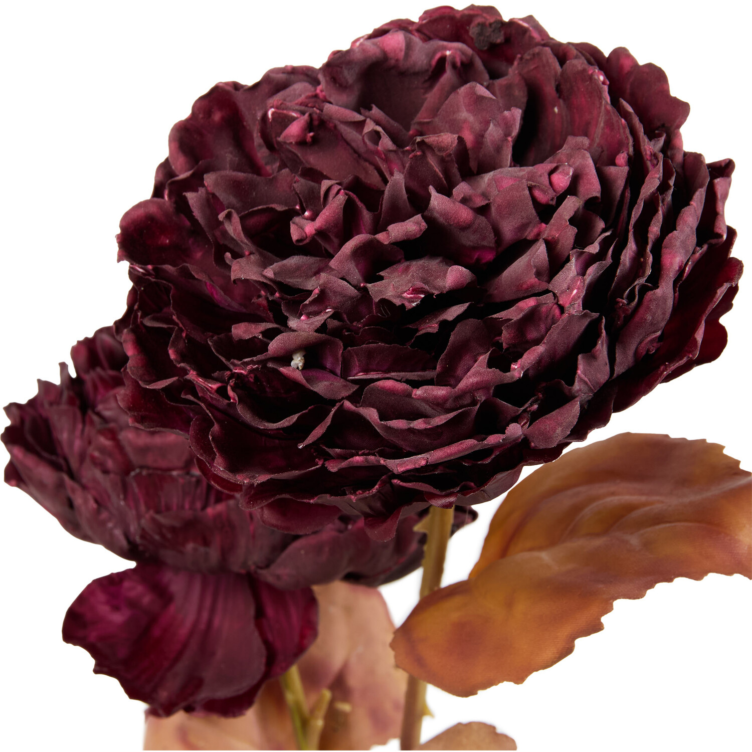 Faux Dried Peony Flowers - Mulberry Image 2