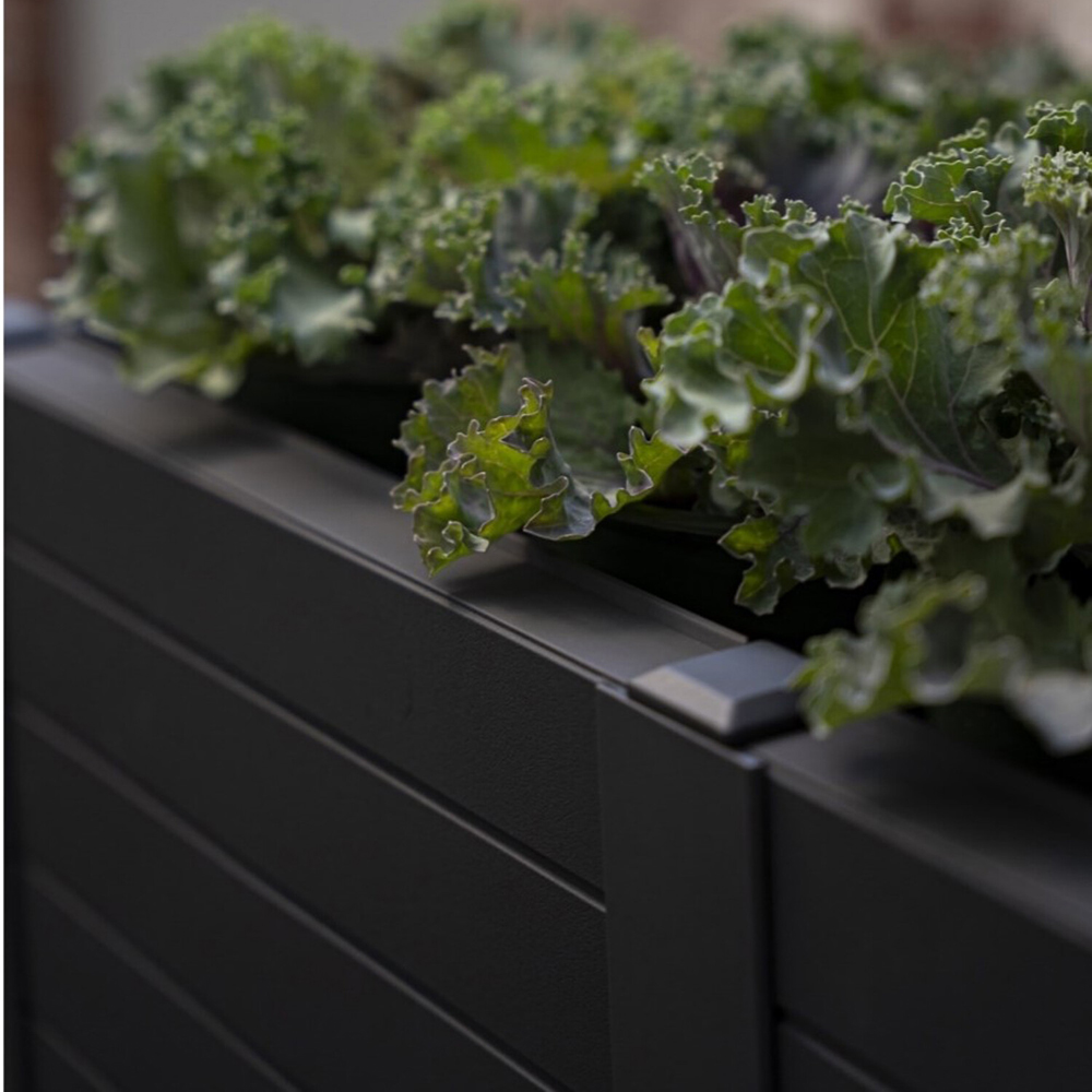 Tierra Verde 12 Panel Raised Bed Black Image 4