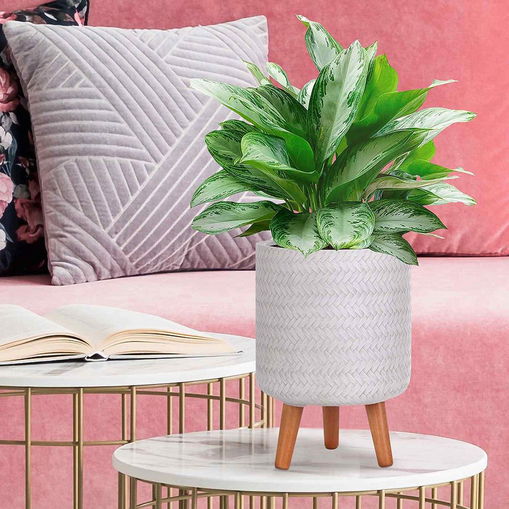 wilko Plaited Style White Indoor Cylinder Plant Pot with Legs 35cm Image 4