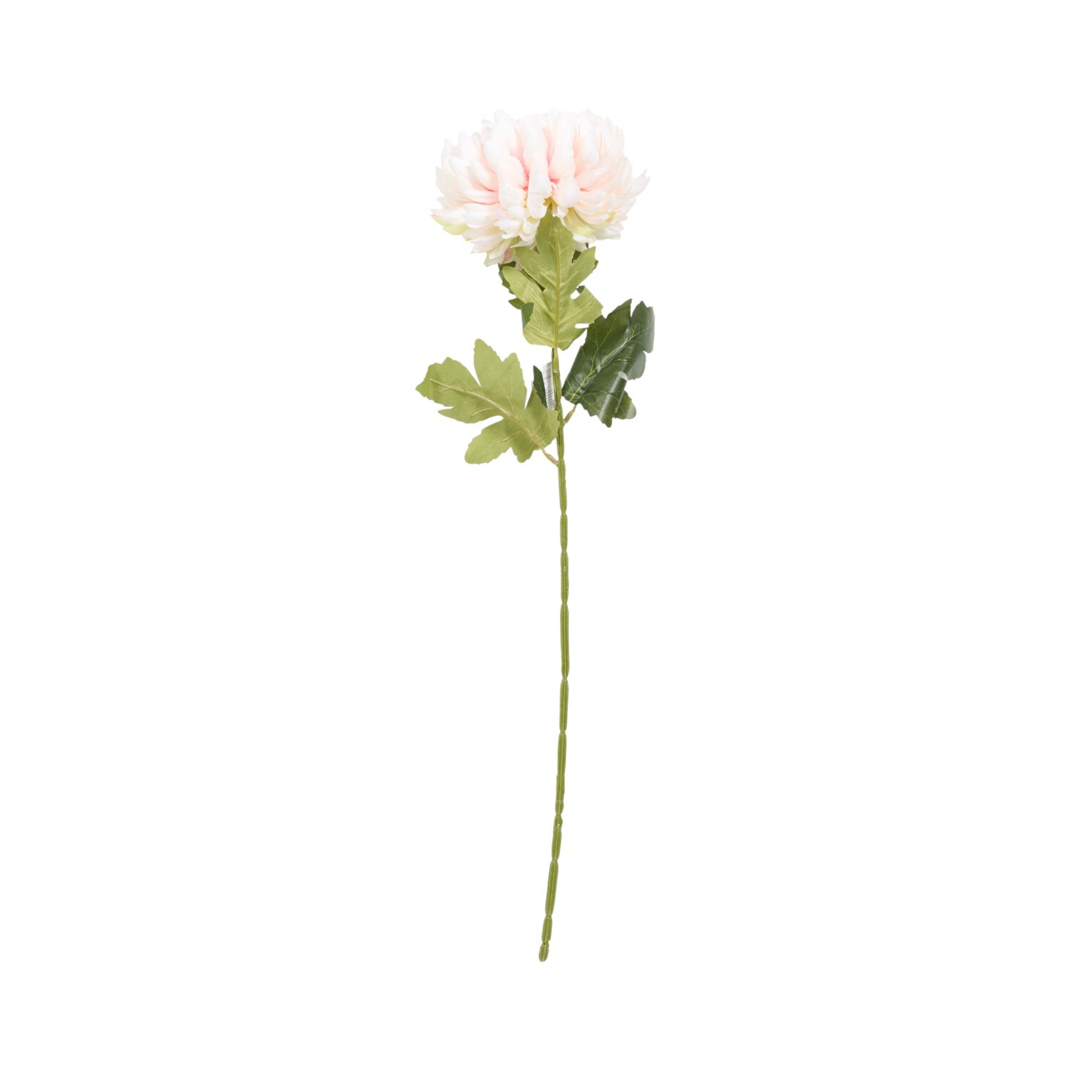 Large Fuji Mum Pom Stem 70cm Asrt Image 5