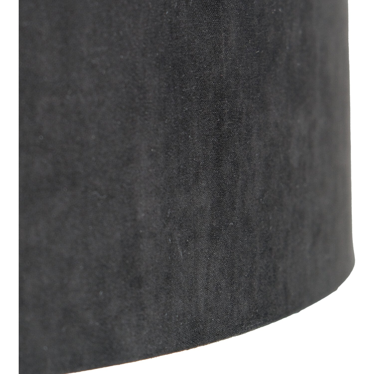 Black Zebra Shade - Black and White Image 8