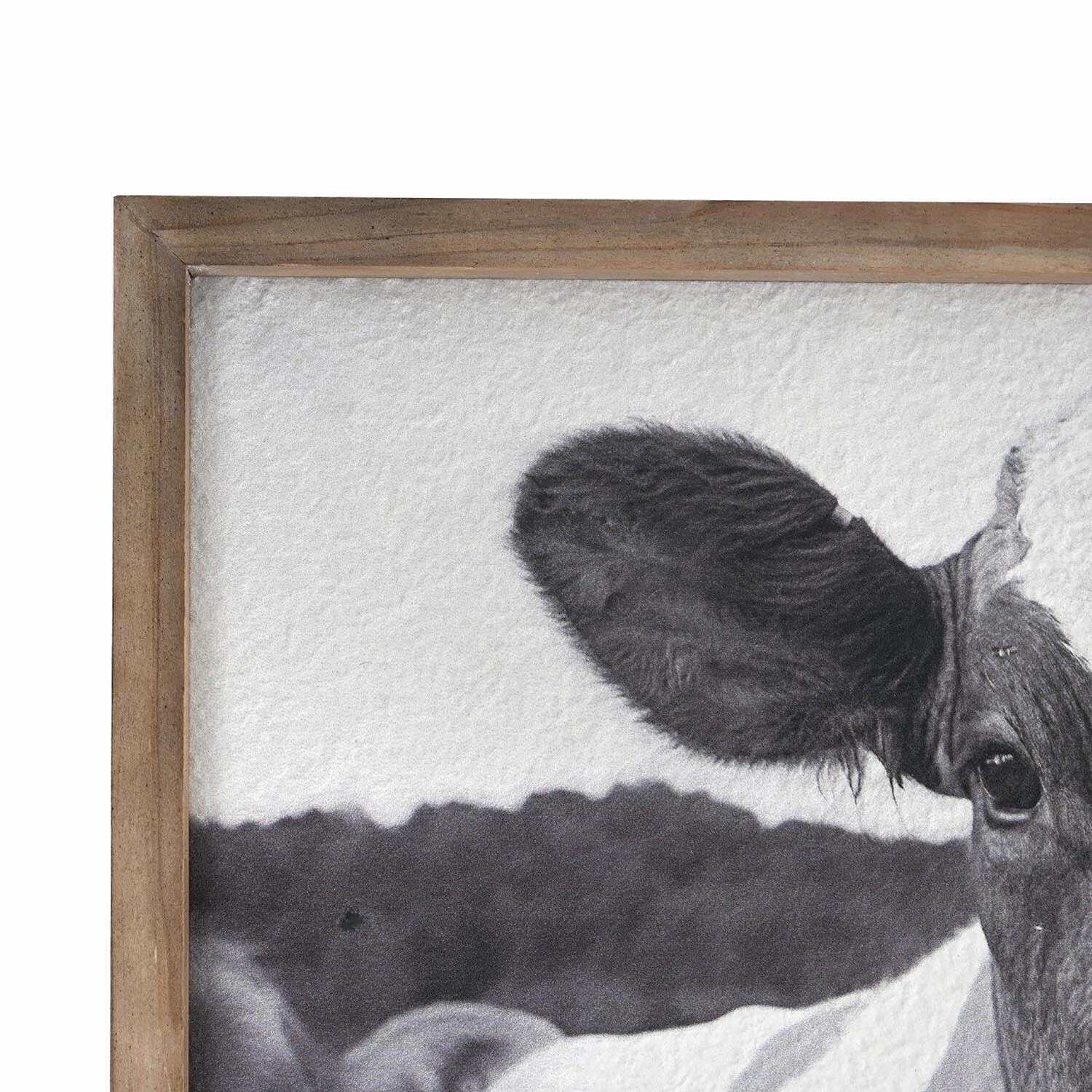 Friesian Cow Textured Framed Print - Black and White Image 3