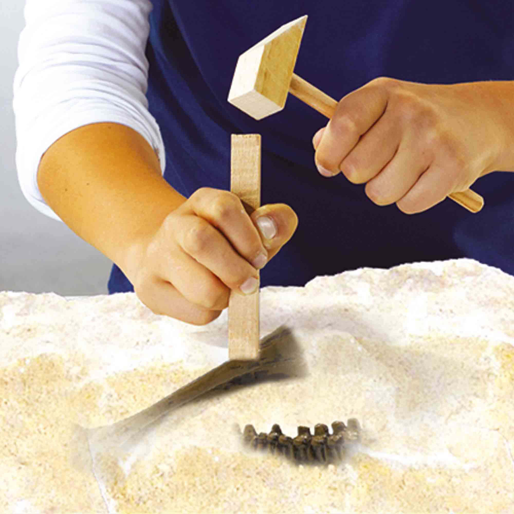 SES Creative Explore 2-in-1 T-Rex Dino and Skeleton Excavation Image 4