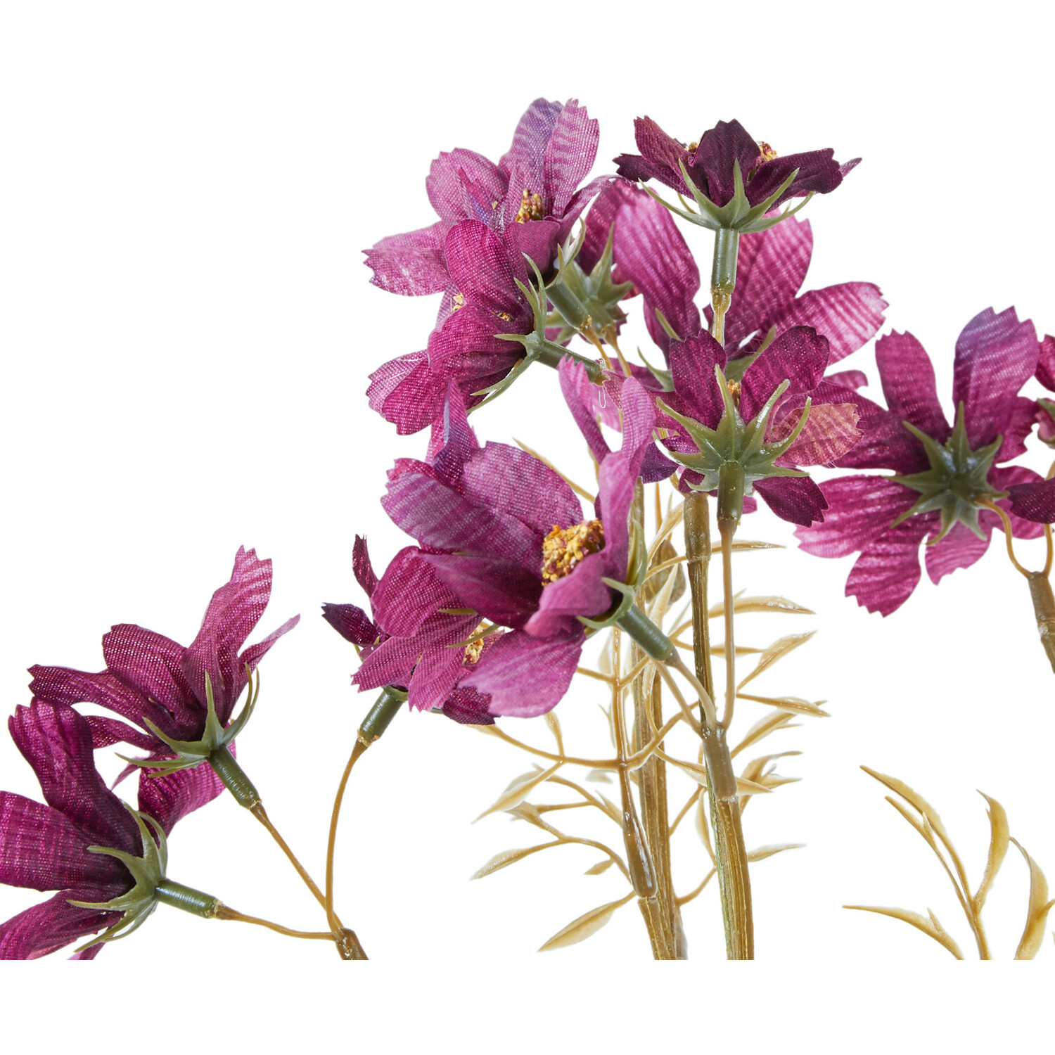 Sky Cosmos Flower Spray Image 4