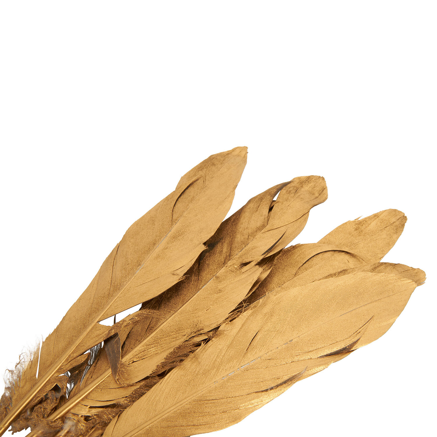 Pack of 6 True Moments Gold or Silver Feathers Image 12