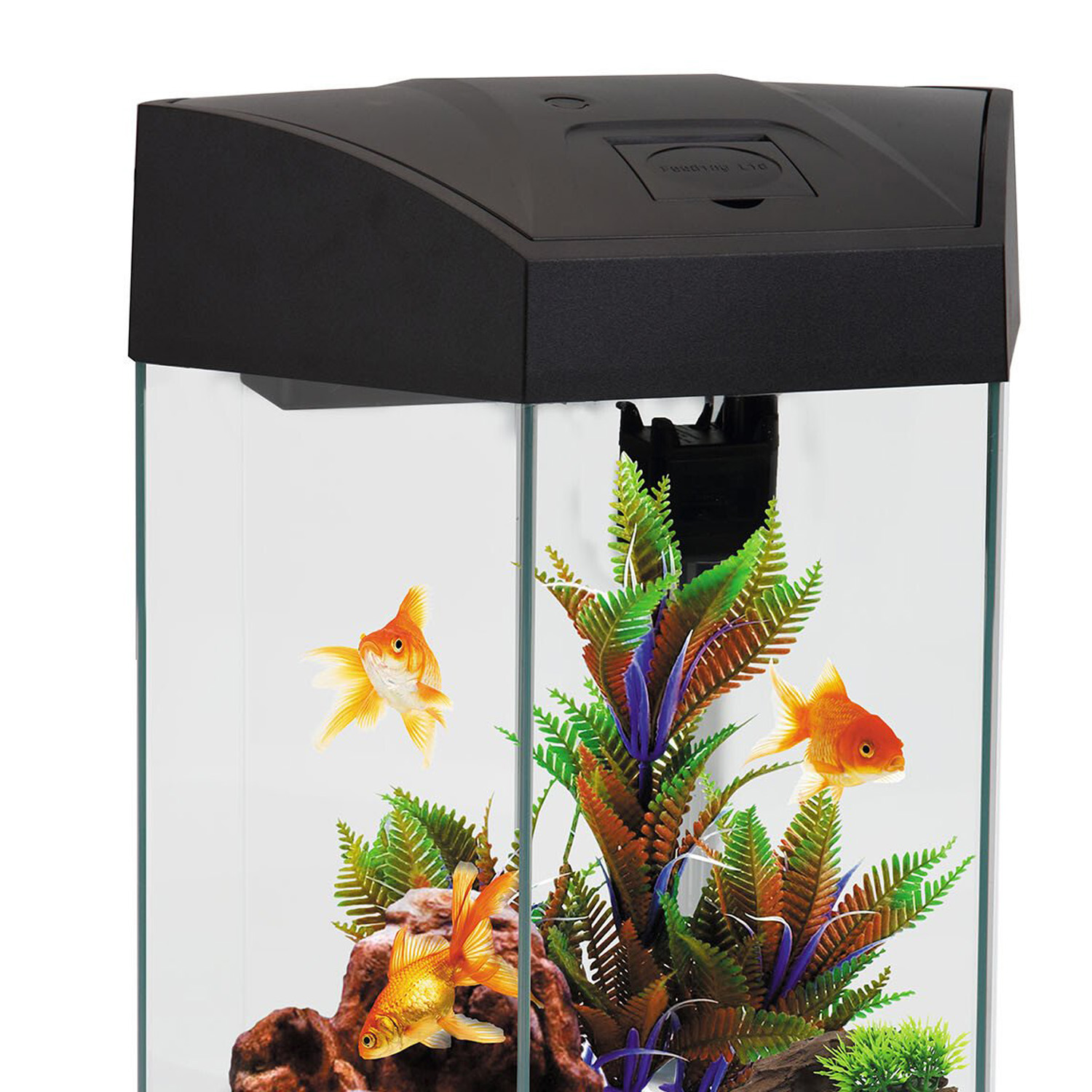 Hexagonal Aquarium - Black Image 5