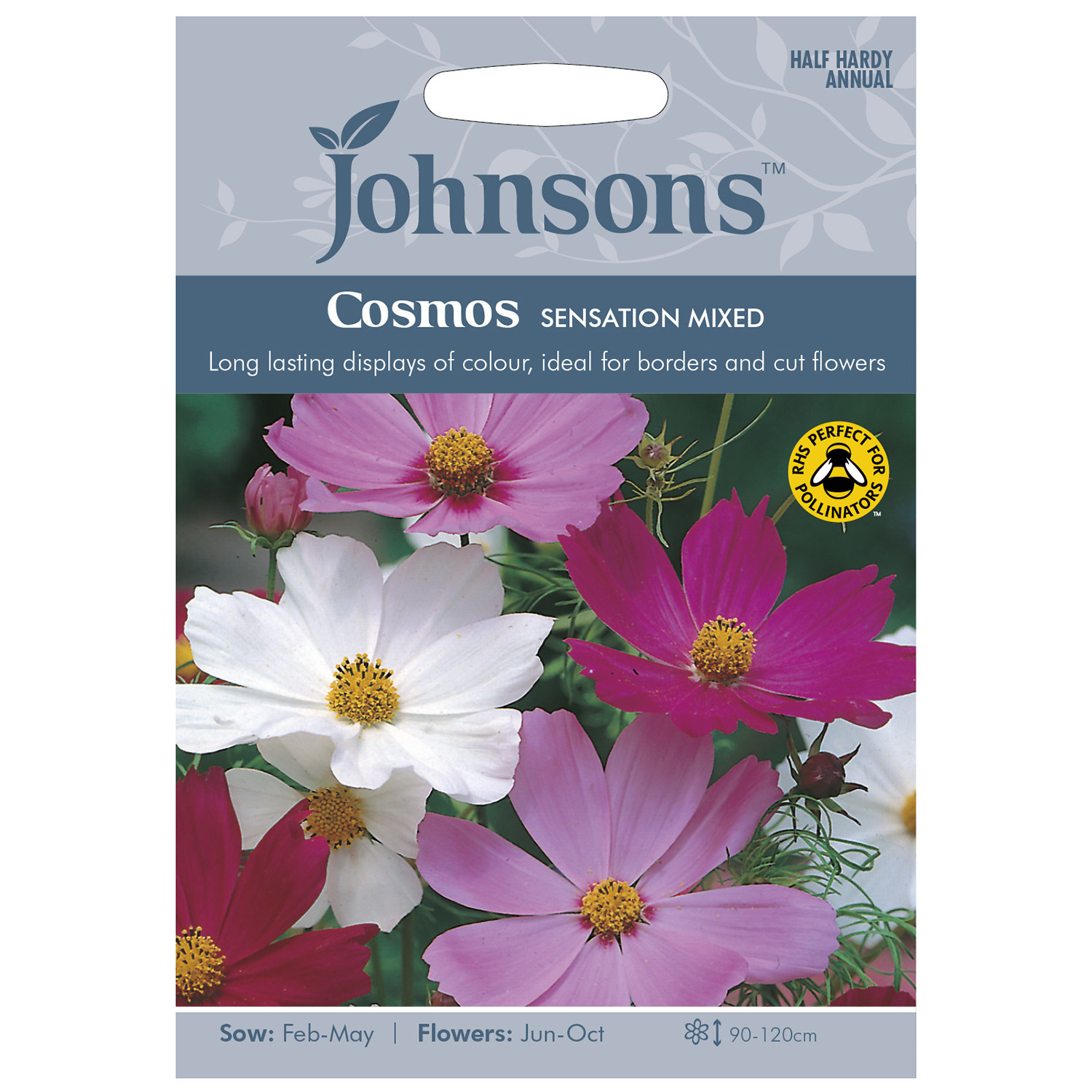 Johnsons Cosmos Sensation Mixed Flower Seeds Image 2