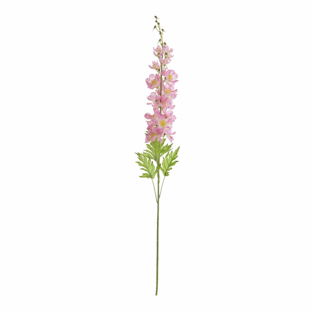 Wilko Delphinium Pink Single Stem Wilko