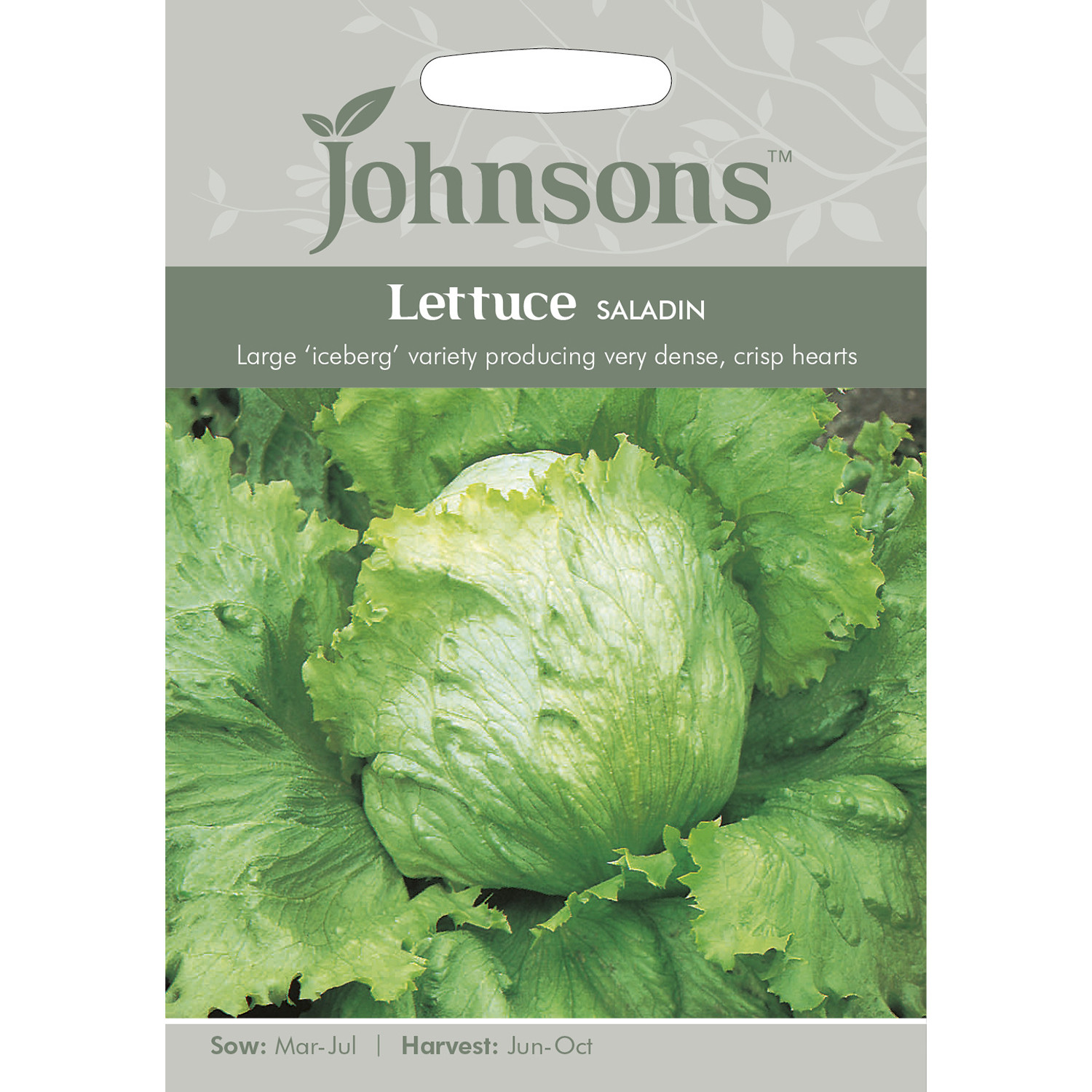 Johnsons Saladin Lettuce Seeds Image 2