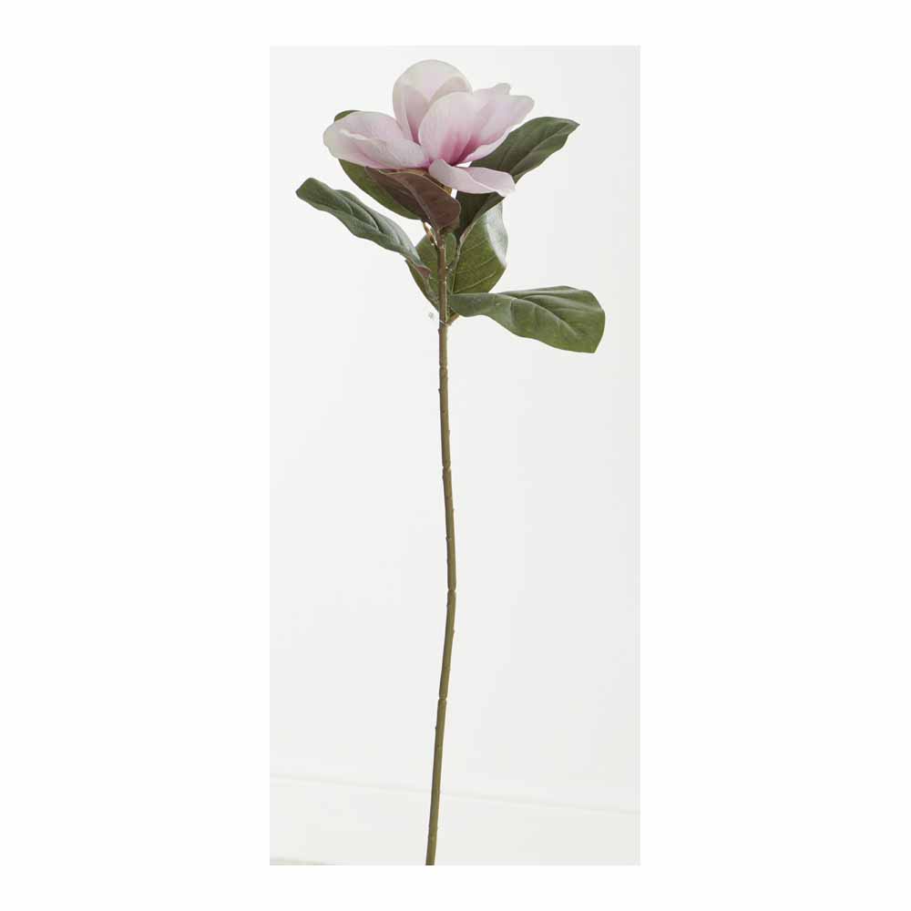Wilko Magnolia Pink Single Stem Wilko