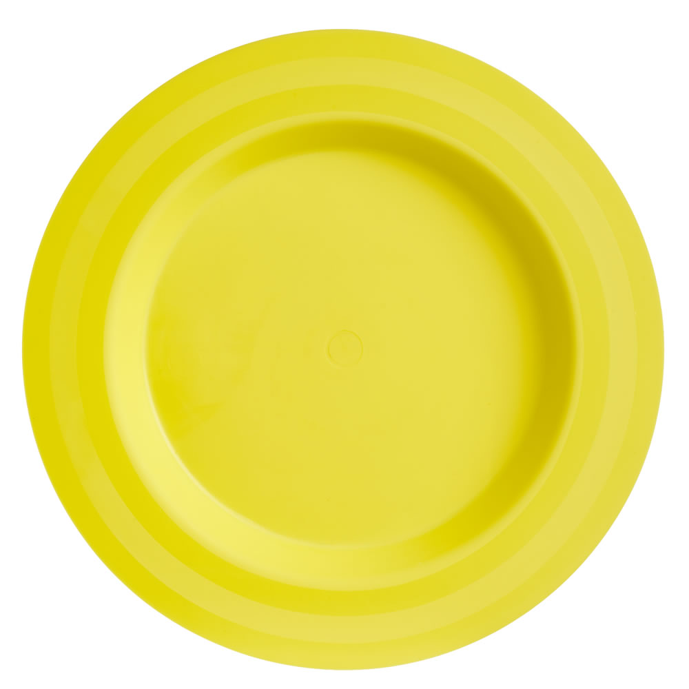 Wilko Picnic Plates 4pk Wilko