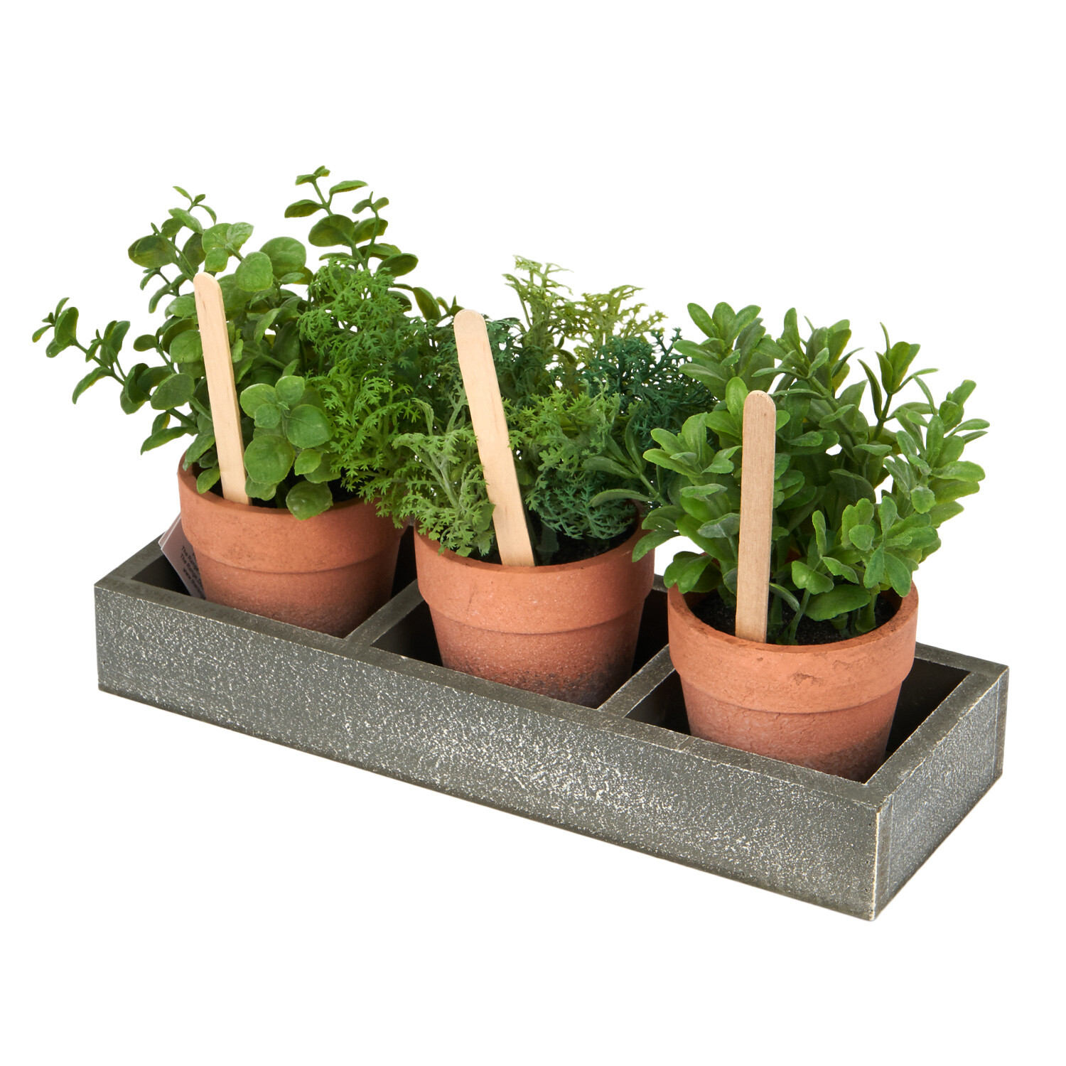Set of 3 Potted Herbs in Tray - Grey Image 4