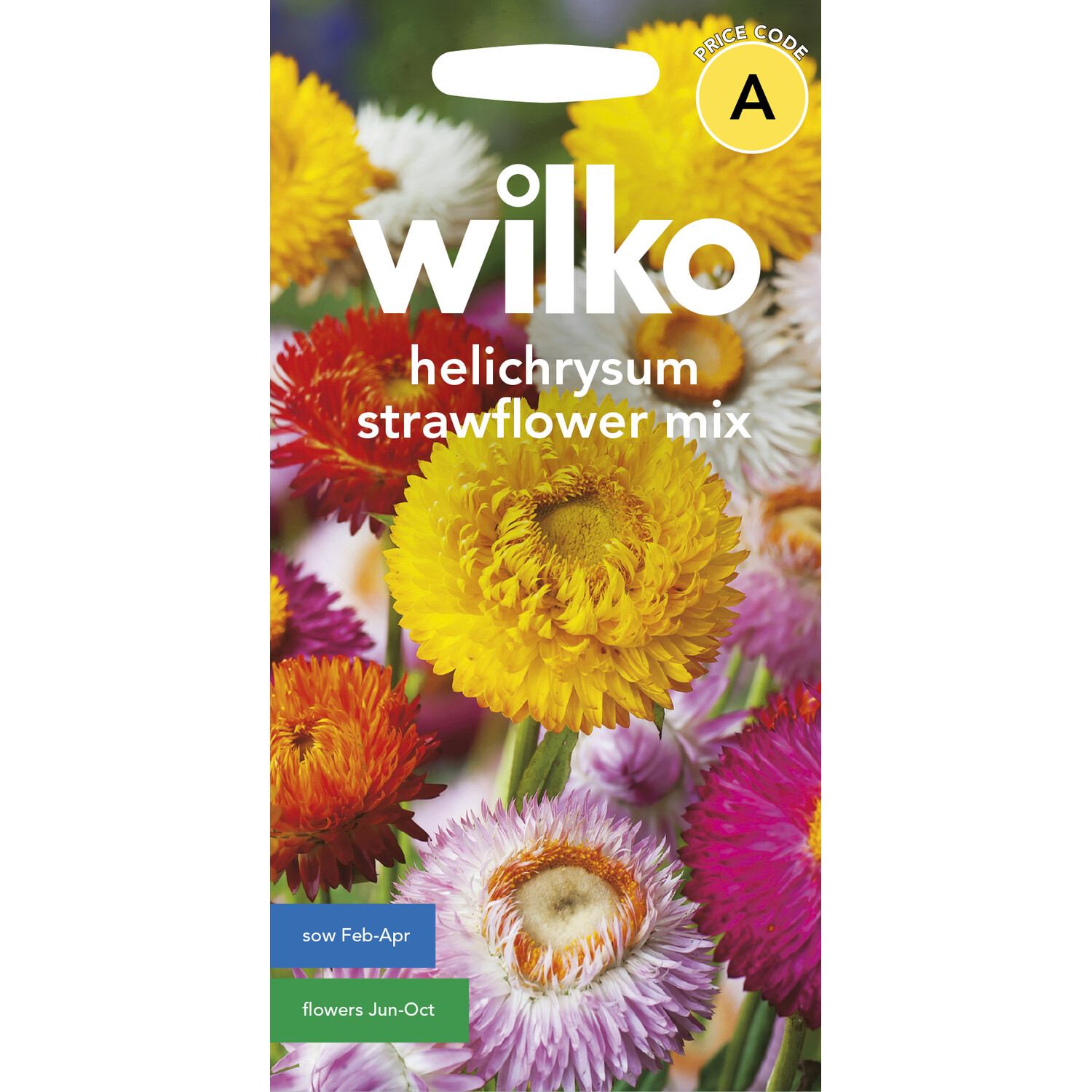 Wilko Helichrysum Strawflower Mix Seeds Image 1