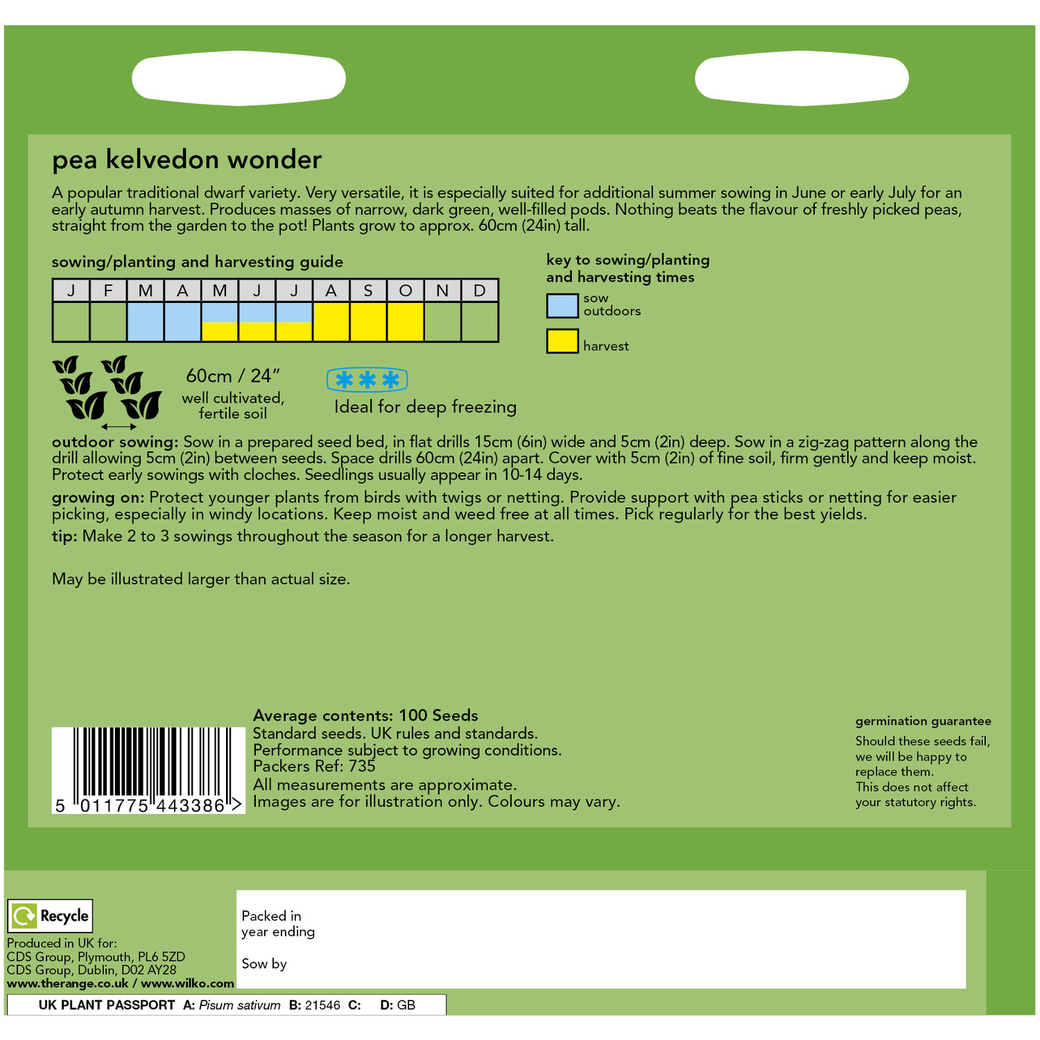 Wilko Pea Kelvedon Wonder Seeds Image 2