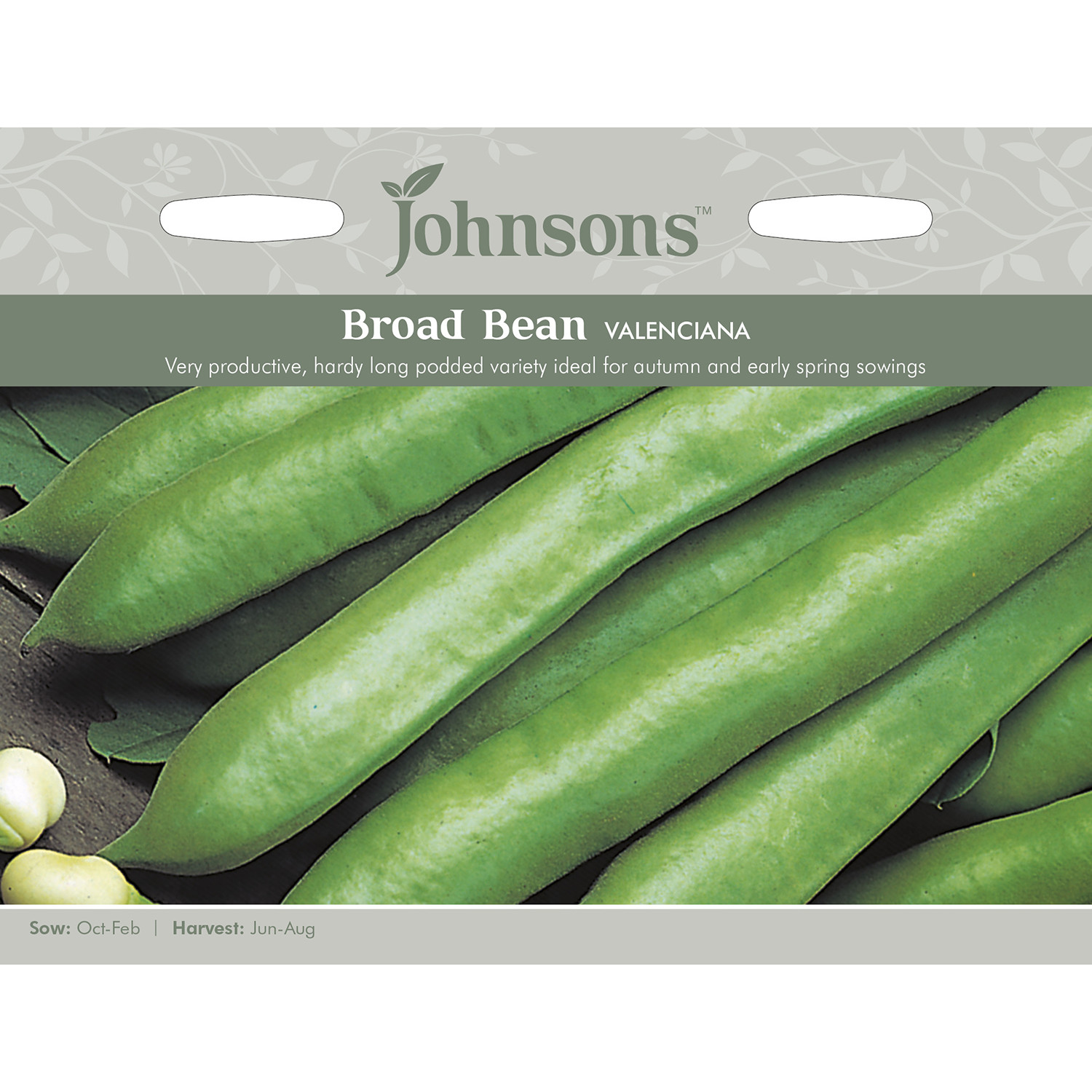 Johnsons Valenciana Broad Bean Seeds Image 2