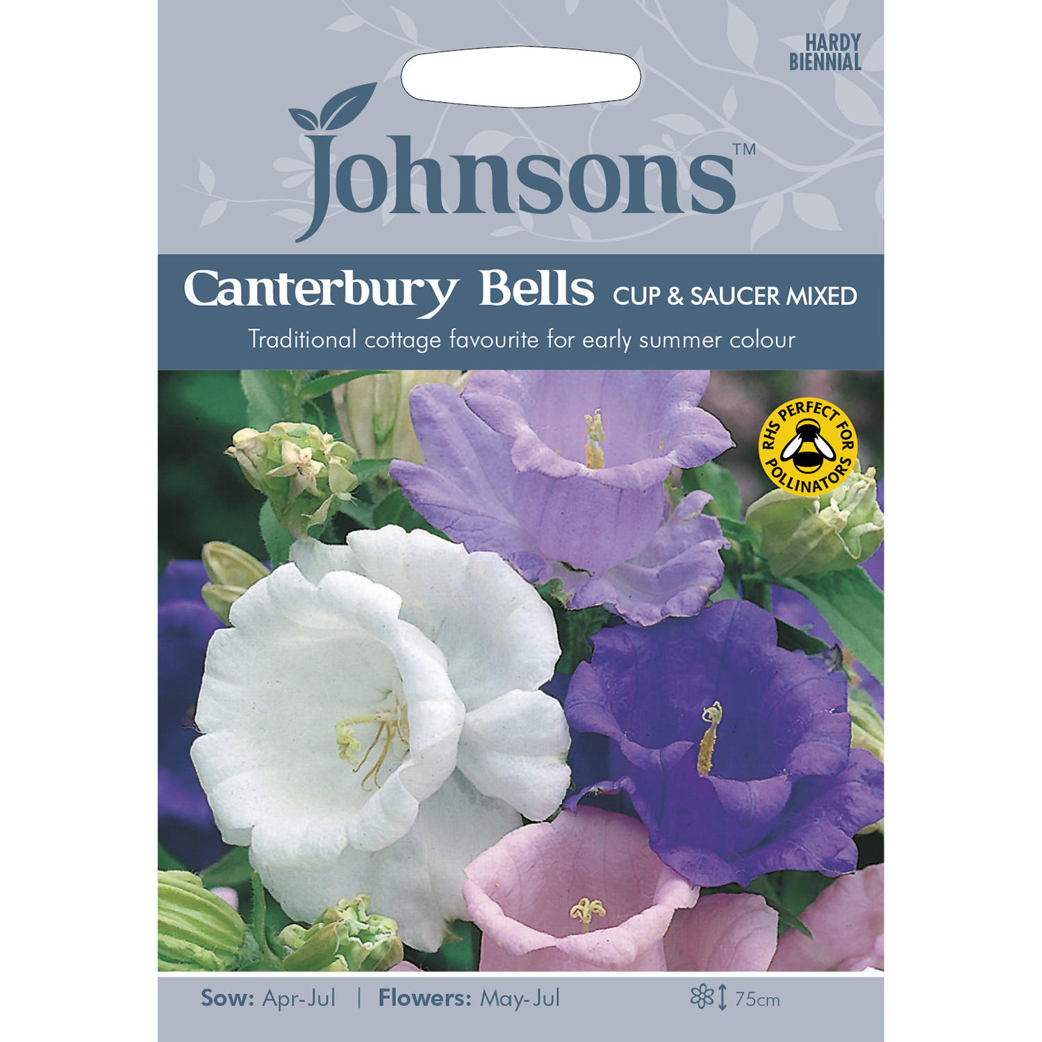Johnsons Canterbury Bells Cup and Saucer Mixed Flower Seeds Image 2