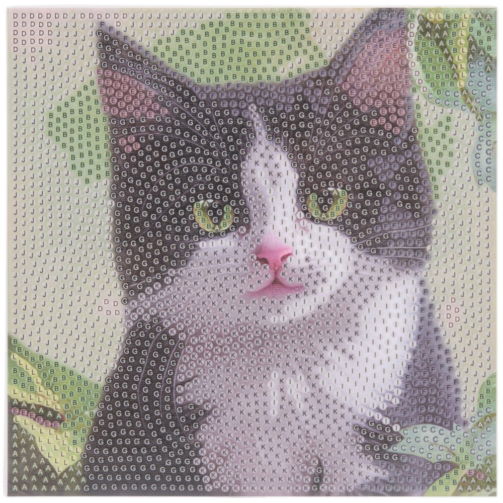 Kitten or Puppy Crystal Canvas Twinpack Image 8