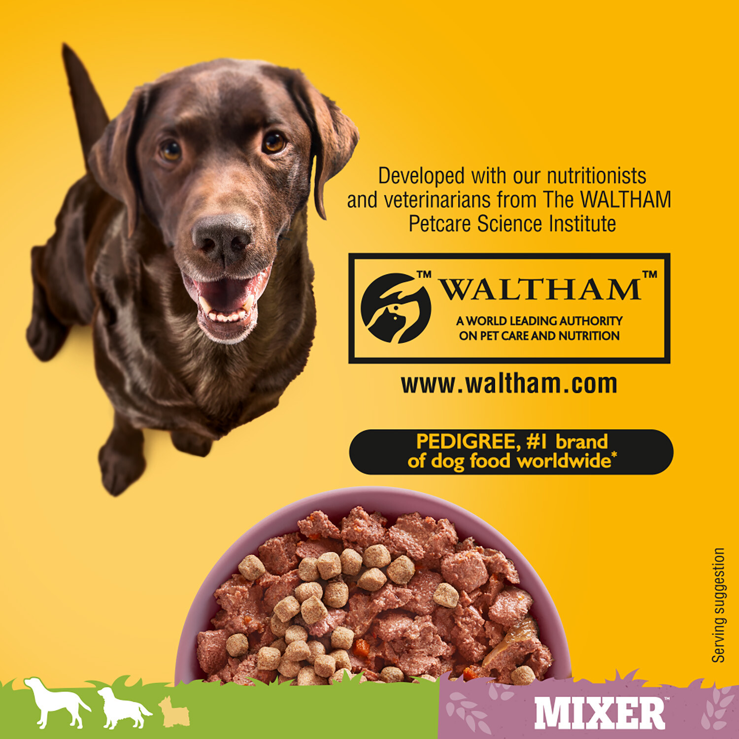 Pedigree Dry Mixer Adult Dog Food Image 4