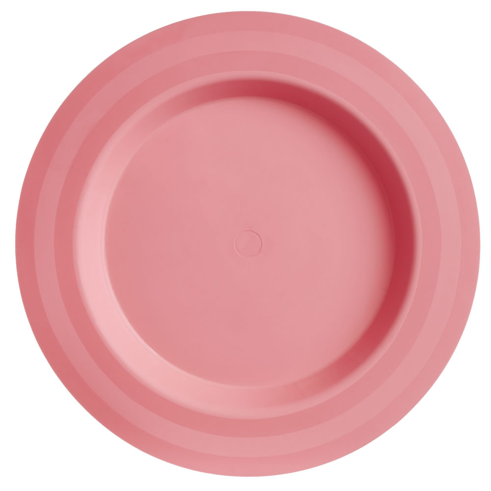 Wilko Picnic Plates 4pk Wilko
