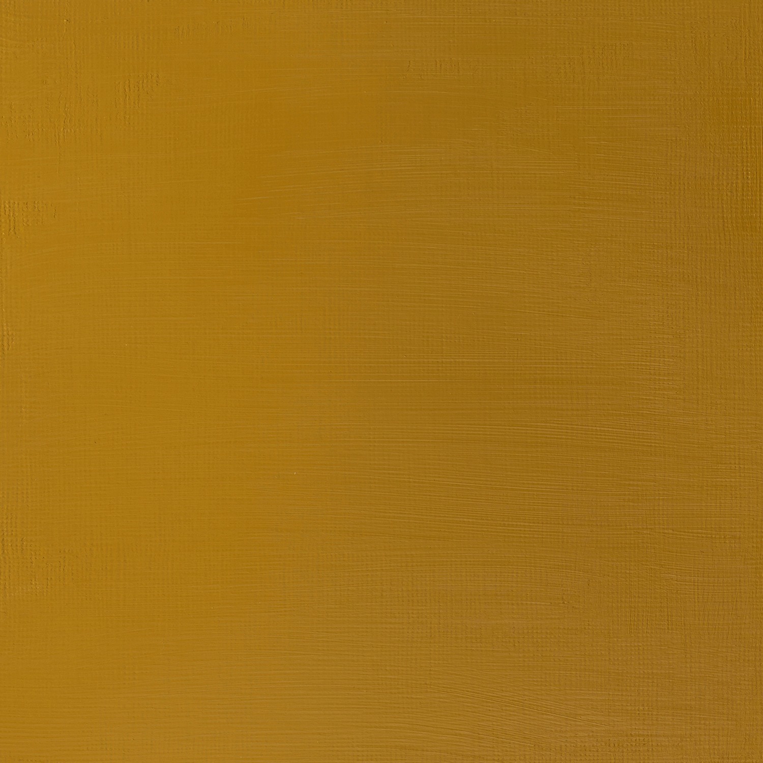 Winsor and Newton 250ml Galeria Acrylic Paint - Yellow Ochre Image 2