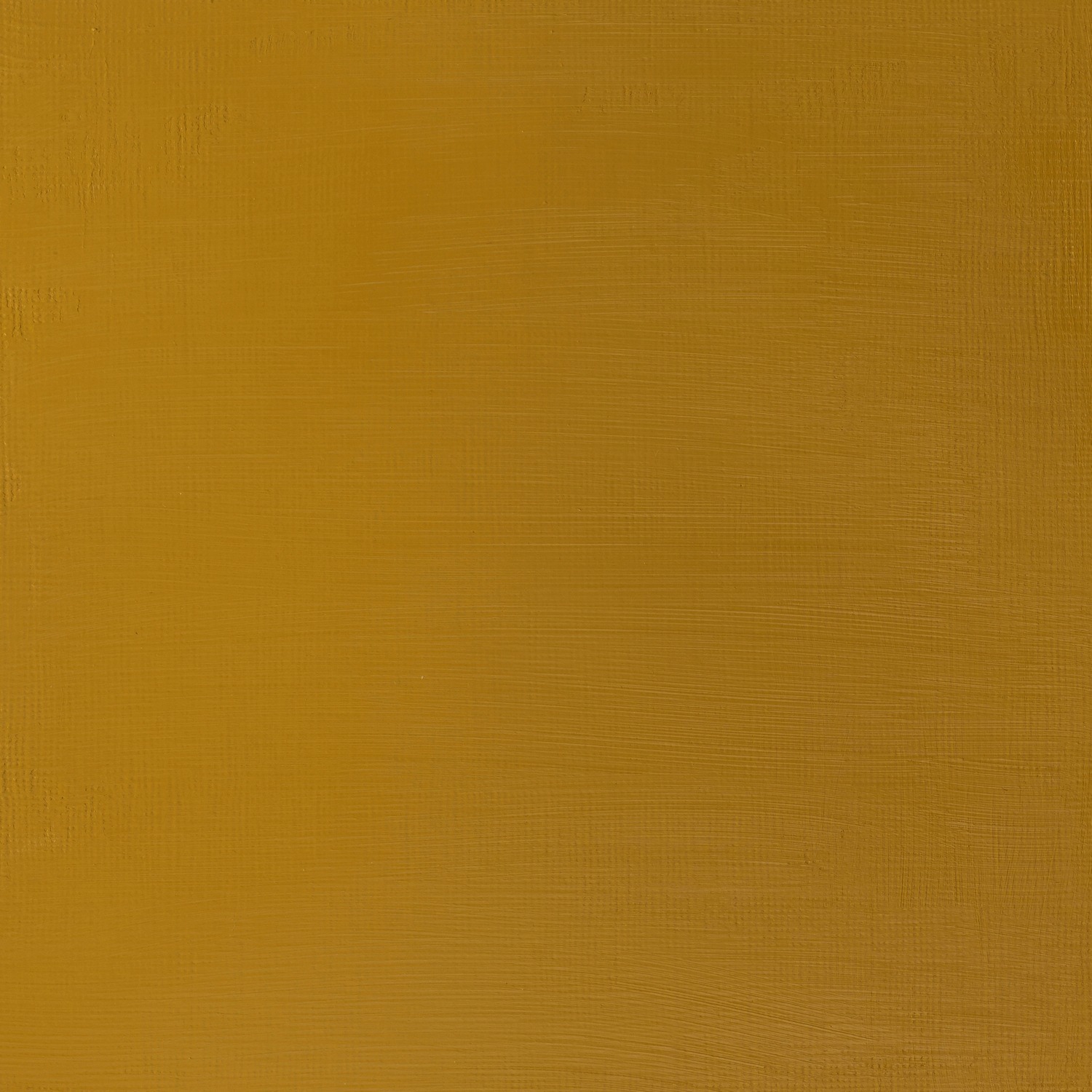 Winsor and Newton 60ml Galeria Acrylic Paint - Yellow Ochre Image 2