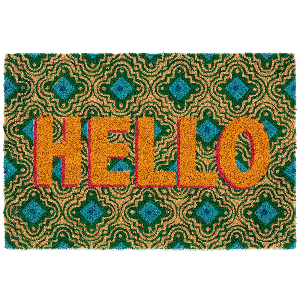 Astley Multicolour Coir Doormat 40 x 60cm Image 1