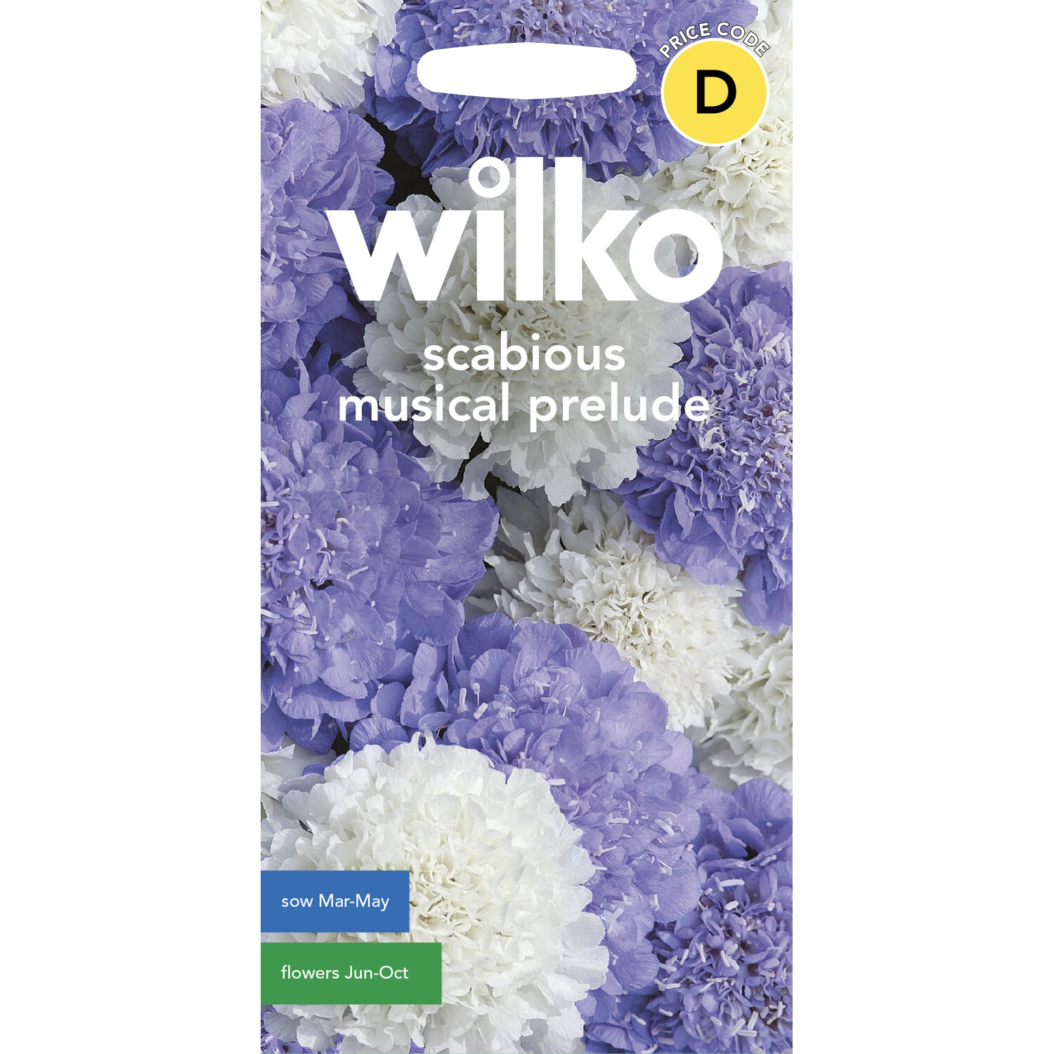 Scabious Musical Prelude Seeds Purple and White Image 1